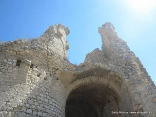 stello Mongialino-08-09-2014 17-06-40